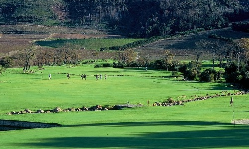 Steenberg Golf Course on Steenberg Vineyards