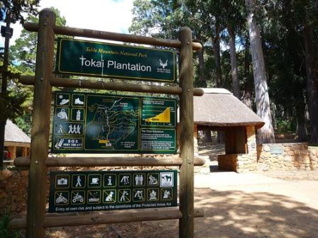 Tokai Forest Arboretum