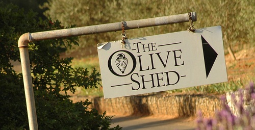 The Olive Shed at Tokara Wine Estate on the Stellenbosch Wine Route 