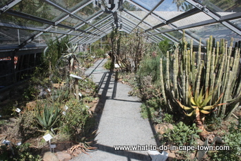 Hothouse at the US Botanical Garden, Stellenbosch