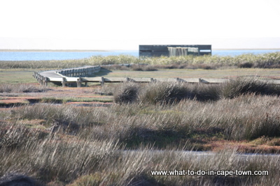 Cape Town Birding, Geelbek Hide at the West Coast National Park