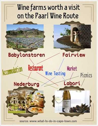 Wine farms worth a visit on the Paarl Wine Route