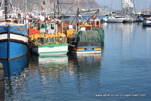 Cape Town Weather - Hout Bay Harbour
