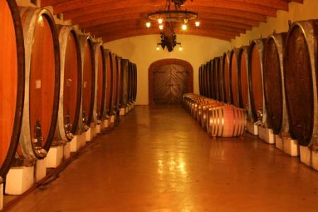 The cellar at Nederburg Wine Estate, Paarl