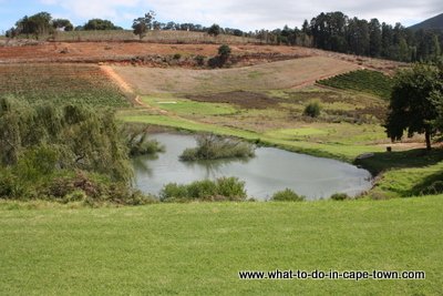 Fly Fishing Dam and Driving Range, Alluvia Boutique Winery, Stellenbosch Wine Route, Cape Town