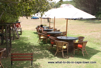 Restaurant, Altydgedacht Wine Estate, Durbanville Wine Route, Cape Town