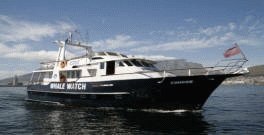 Condor a 61 ft Motor Cruiser Boat, Cape Town Boating