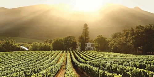 Buitenverwachting, Constantia Wine Route