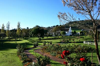 Rhebokskloof Wine Estate