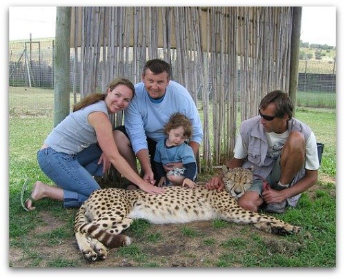 Cheetah Outreach, Somerset West