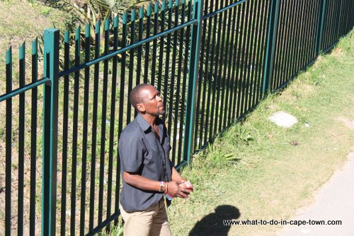 Day two in Cape Town - Imizamo Yethu Township Tour Guide