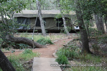 Tented Camp at Clara Anna Fontein Private Game Reserve and Country Lodge