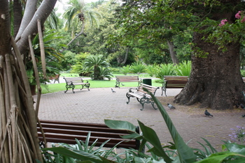 The Company Garden, Cape Town