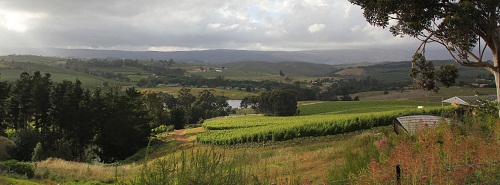 Corder Family Wines, Elgin Wine Route