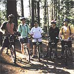 Cape Town Cycling Tours