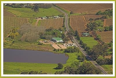 D'Aria Farm, Durbanville