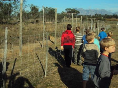 Drakenstein Lion Park