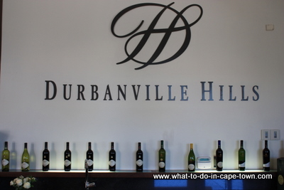 Tasting Centre, Durbanville Hills Cellar, Durbanville Wine Route, Cape Town
