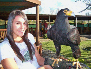 Eagle Encounters at Spier Wine Estate, Stellenbosch