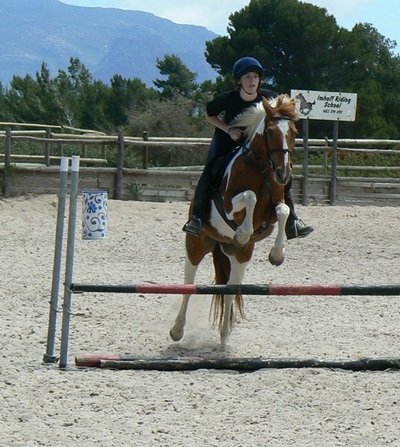 Imhoff Equestrian Centre, Cape Town Horse Riding Centres