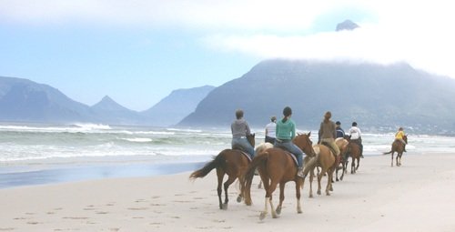 Imhoff Equestrian Centre, Cape Town Horse Riding Centres