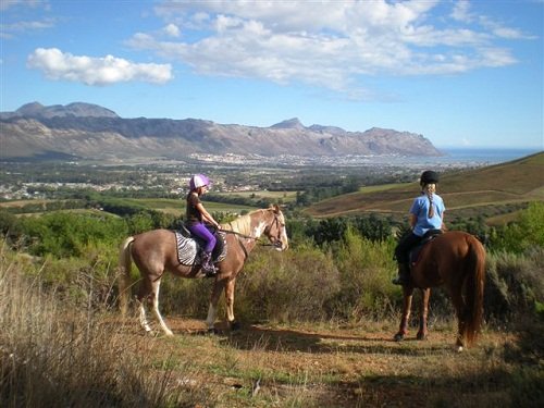 Journey's End, Cape Town Horse Riding Centres