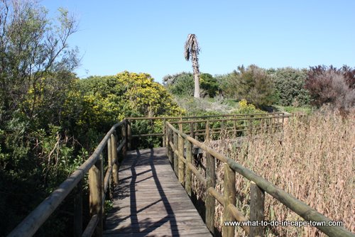 Walkway, Intaka Island Bird Sanctuary