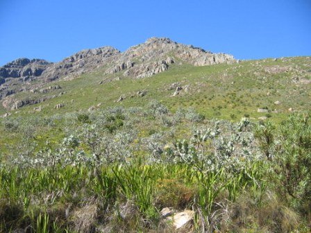 Jonkershoek Nature Reserve