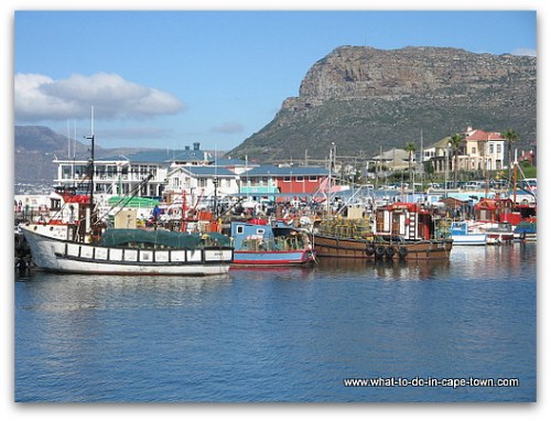 Kalk Bay Harbour, Cape Town