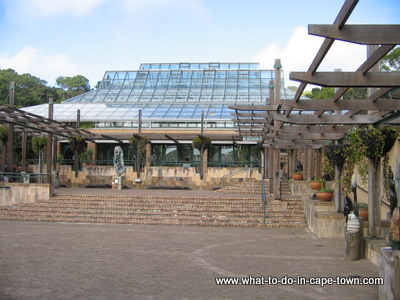 The Botanical Society Conservatory at Kirstenbosch National Botanical Garden