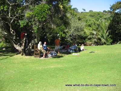 Picnic at Kirstenbosch National Botanical Garden