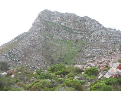 Kogelberg Nature Reserve