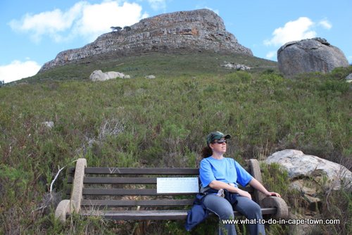 Lions Head Walk, Cape Town Nature, Cape Town Activities, Cape Town