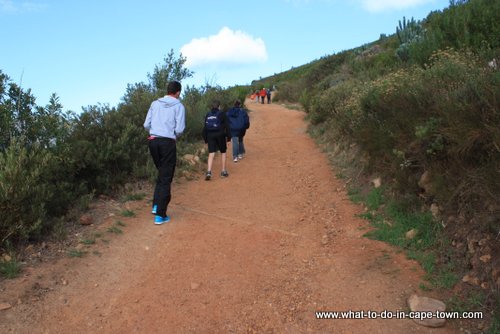 Lions Head Walk, Cape Town Nature, Cape Town Activities, Cape Town