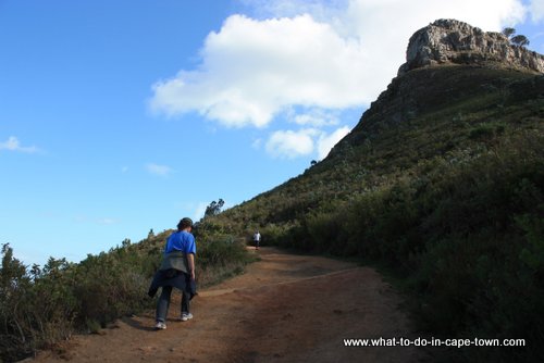 Cape Town Walks - Lion's Head