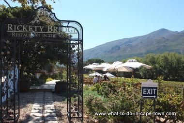 Restaurant in the Vines, Rickety Bridge Wine Estate, Franschhoek Wine Route, Cape Town