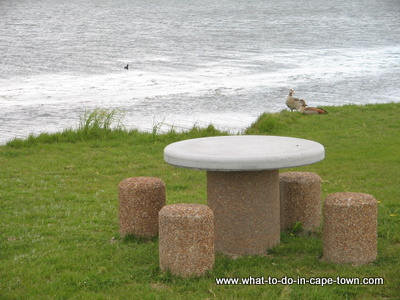 Picnic table at Rietvlei Nature Reserve