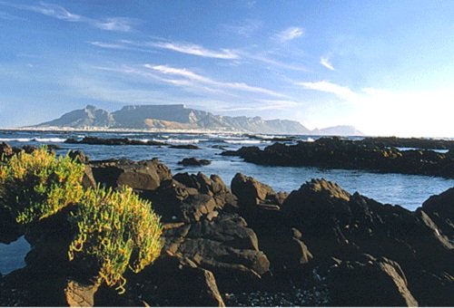 Table Mountain seen from Robben Island