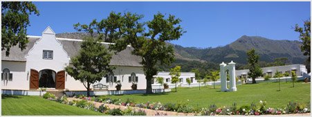 Ginko Spa at Steenberg Vineyards