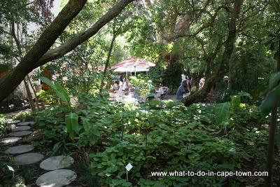 Cape Town Walks - US Botanical Garden