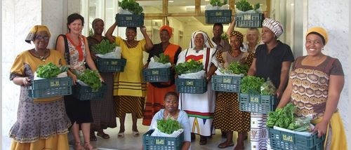 Harvest of Hope, Volunteer in Cape Town