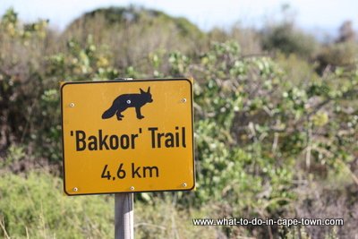 Bakoor Trail sign at West Coast National Park